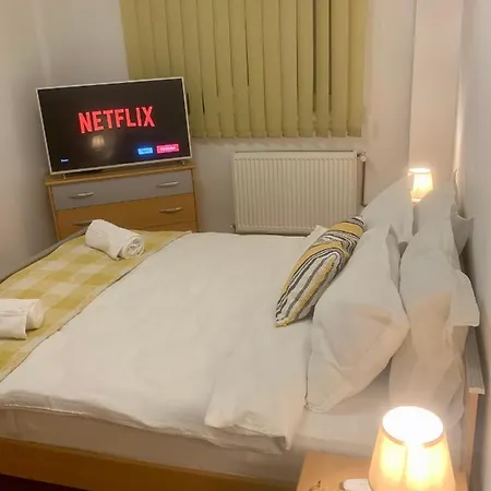 Jad - Family - - Zorilor *