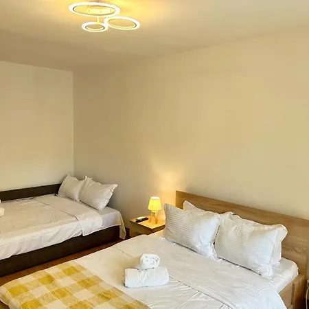 Jad - Family - - Zorilor Braşov