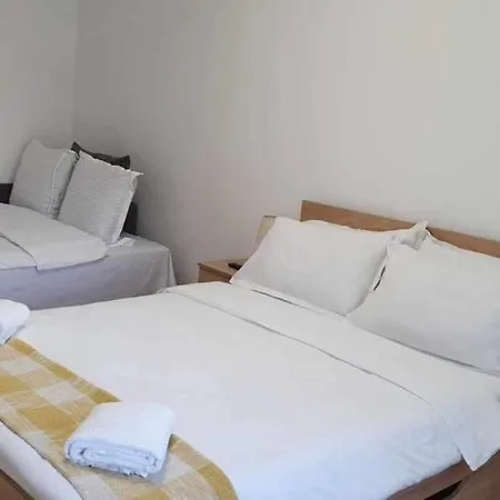 Jad - Family - - Zorilor *