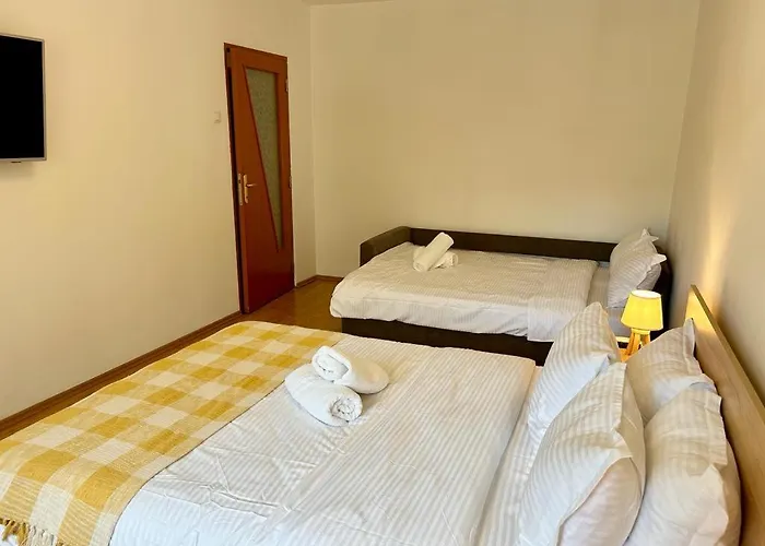 Jad - Family - - Zorilor Braşov