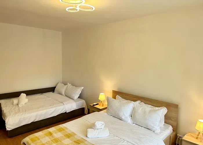 Jad - Family - - Zorilor Braşov