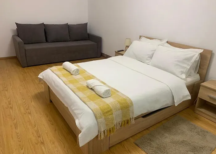 Jad - Family - - Zorilor